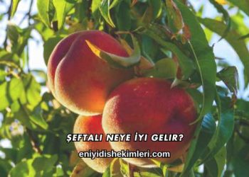 Şeftali Neye İyi Gelir?