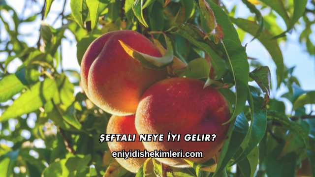 Şeftali Neye İyi Gelir?