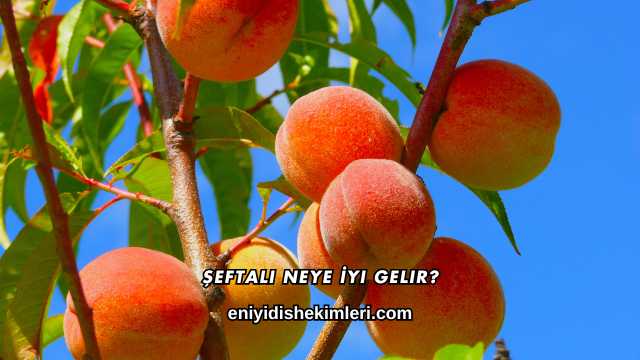 Şeftali Neye İyi Gelir?