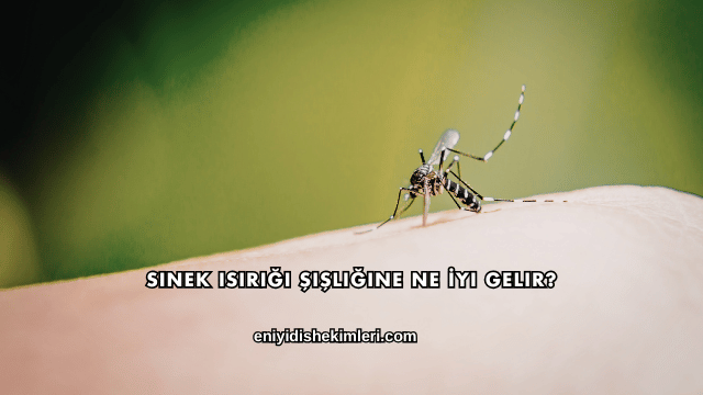 Sinek Isırığı Şişliğine Ne İyi Gelir?