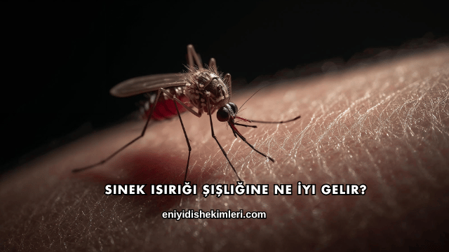 Sinek Isırığı Şişliğine Ne İyi Gelir?