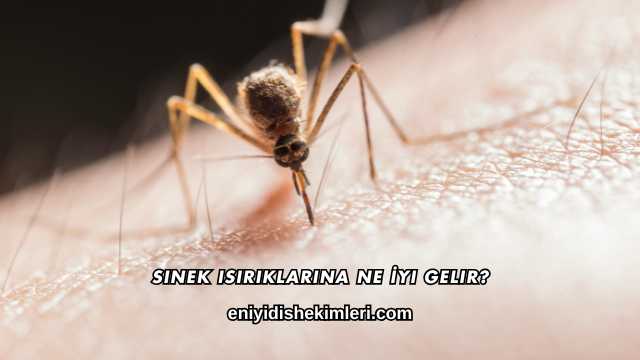 Sinek Isırıklarına Ne İyi Gelir?