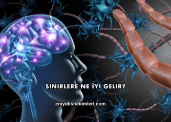 Sinirlere Ne İyi Gelir?