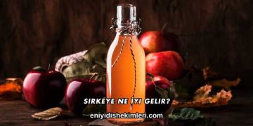 Sirkeye Ne İyi Gelir?