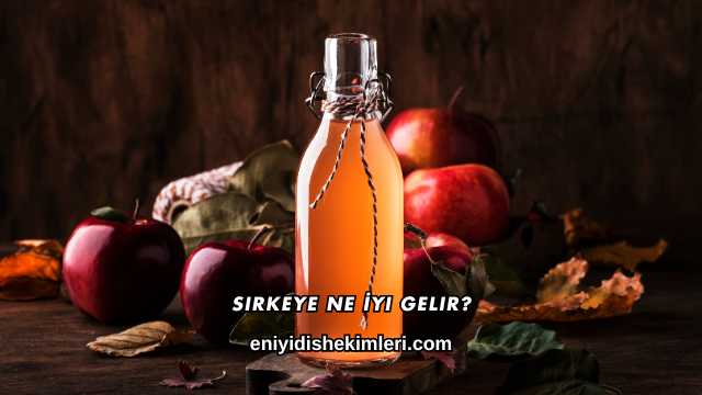 Sirkeye Ne İyi Gelir?