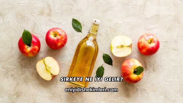 Sirkeye Ne İyi Gelir?