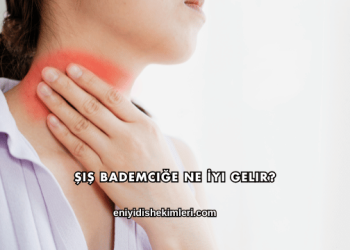 Şiş Bademciğe Ne İyi Gelir?