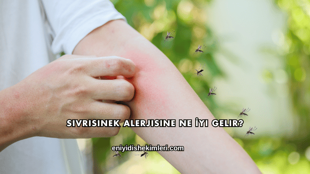 Sivrisinek Alerjisine Ne İyi Gelir?