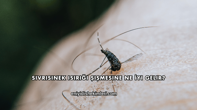 Sivrisinek Isırığı Şişmesine Ne İyi Gelir?