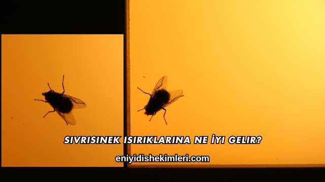 Sivrisinek Isırıklarına Ne İyi Gelir?