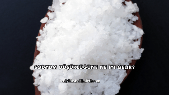 Sodyum Düşüklüğüne Ne İyi Gelir?