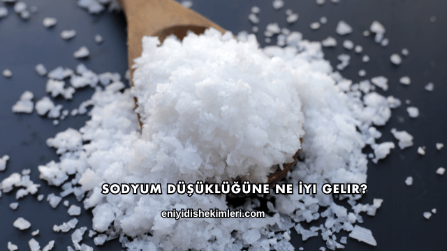 Sodyum Düşüklüğüne Ne İyi Gelir?