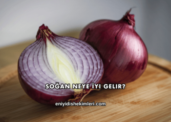 Soğan Neye İyi Gelir?