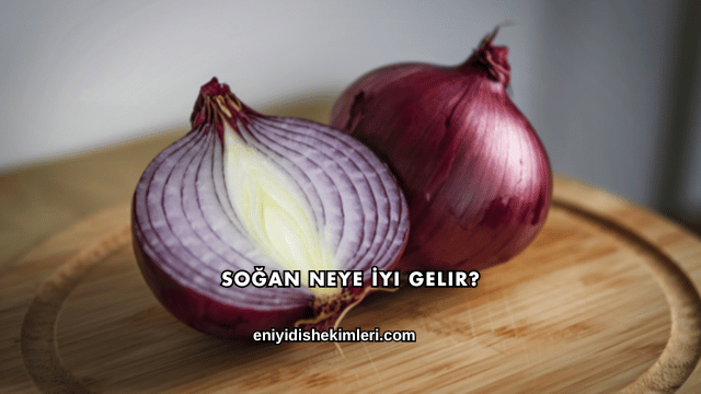 Soğan Neye İyi Gelir?