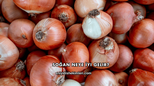 Soğan Neye İyi Gelir?