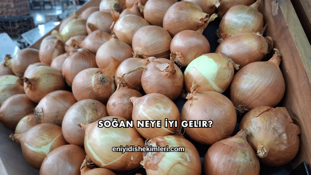 Soğan Neye İyi Gelir?