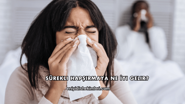 Sürekli Hapşırmaya Ne İyi Gelir?