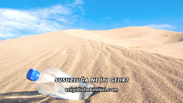 Susuzluğa Ne İyi Gelir?