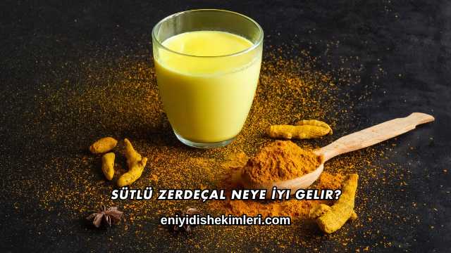 Sütlü Zerdeçal Neye İyi Gelir?