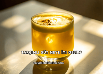 Tarçınlı Süt Neye İyi Gelir?