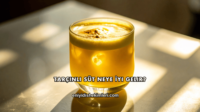 Tarçınlı Süt Neye İyi Gelir?