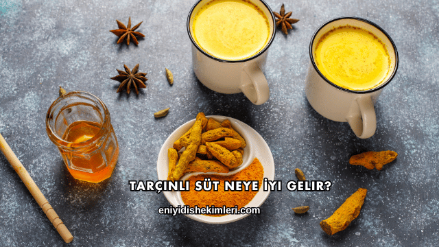 Tarçınlı Süt Neye İyi Gelir?