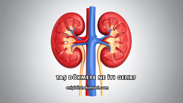 Taş Dökmeye Ne İyi Gelir?