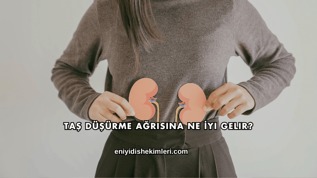 Taş Düşürme Ağrısına Ne İyi Gelir?