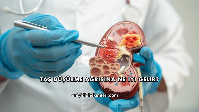 Taş Düşürme Ağrısına Ne İyi Gelir?