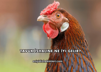 Tavuk İshaline Ne İyi Gelir?