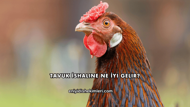 Tavuk İshaline Ne İyi Gelir?