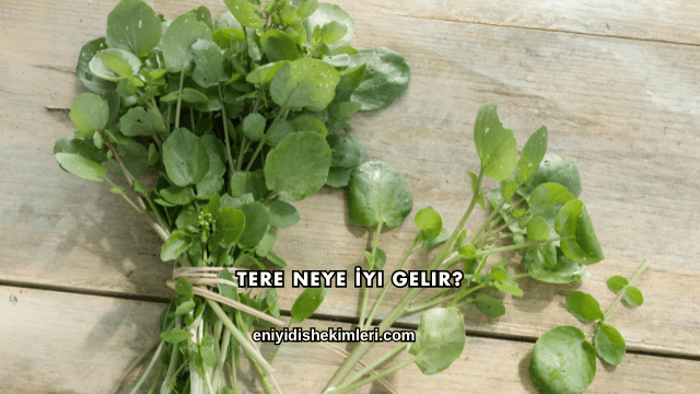 Tere Neye İyi Gelir?