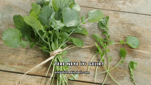 Tere Neye İyi Gelir?