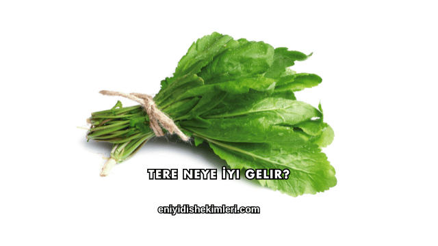 Tere Neye İyi Gelir?