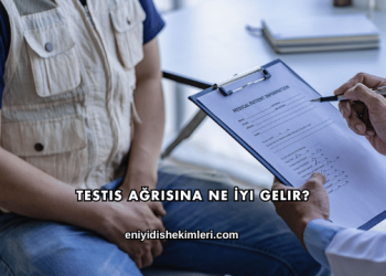 Testis Ağrısına Ne İyi Gelir?