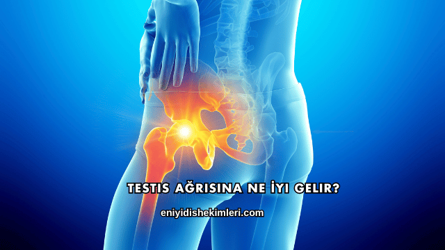 Testis Ağrısına Ne İyi Gelir?