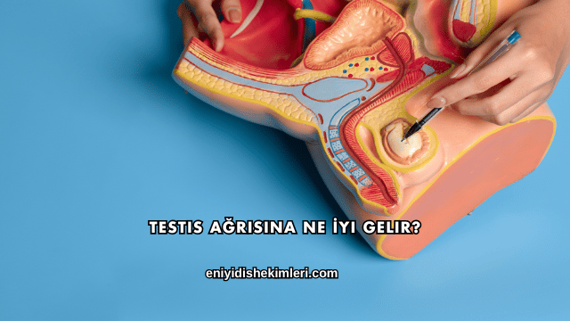 Testis Ağrısına Ne İyi Gelir?