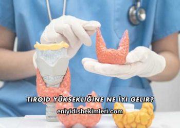 Tiroid Yüksekliğine Ne İyi Gelir?