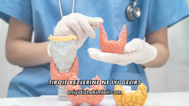 Tiroit Bezlerine Ne İyi Gelir?