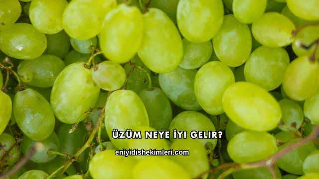 Üzüm Neye İyi Gelir?