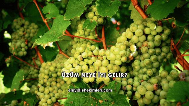 Üzüm Neye İyi Gelir?