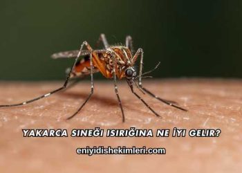 Yakarca Sineği Isırığına Ne İyi Gelir?