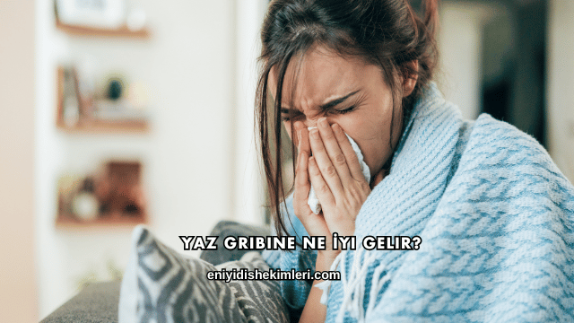 Yaz Gribine Ne İyi Gelir?