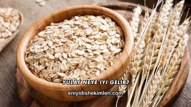 Yulaf Neye İyi Gelir?