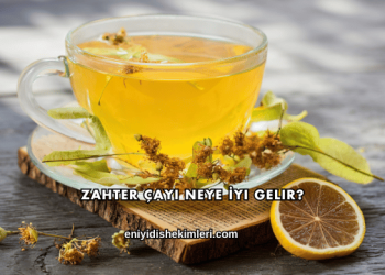 Zahter Çayı Neye İyi Gelir?