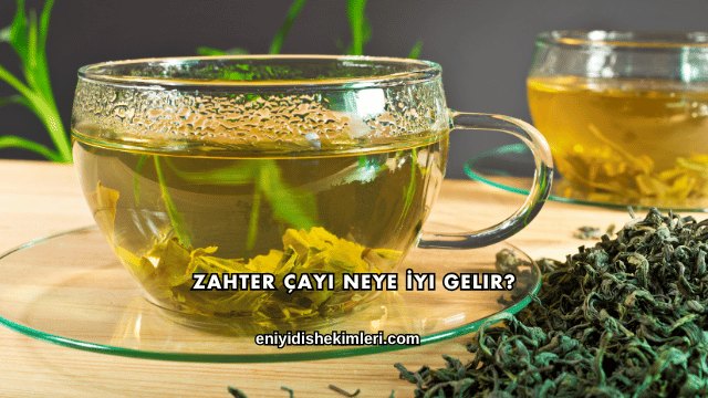Zahter Çayı Neye İyi Gelir?