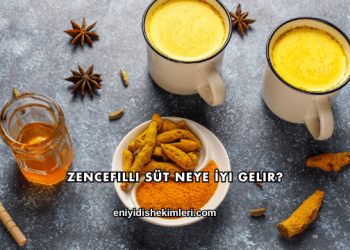 Zencefilli Süt Neye İyi Gelir?