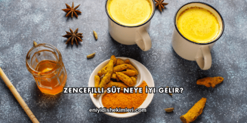 Zencefilli Süt Neye İyi Gelir?