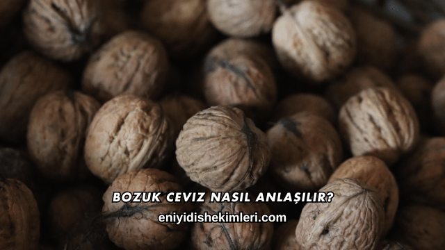 Bozuk Ceviz Nasıl Anlaşılır?