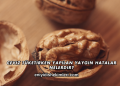 Ceviz Tüketirken Yapılan Yaygın Hatalar Nelerdir?